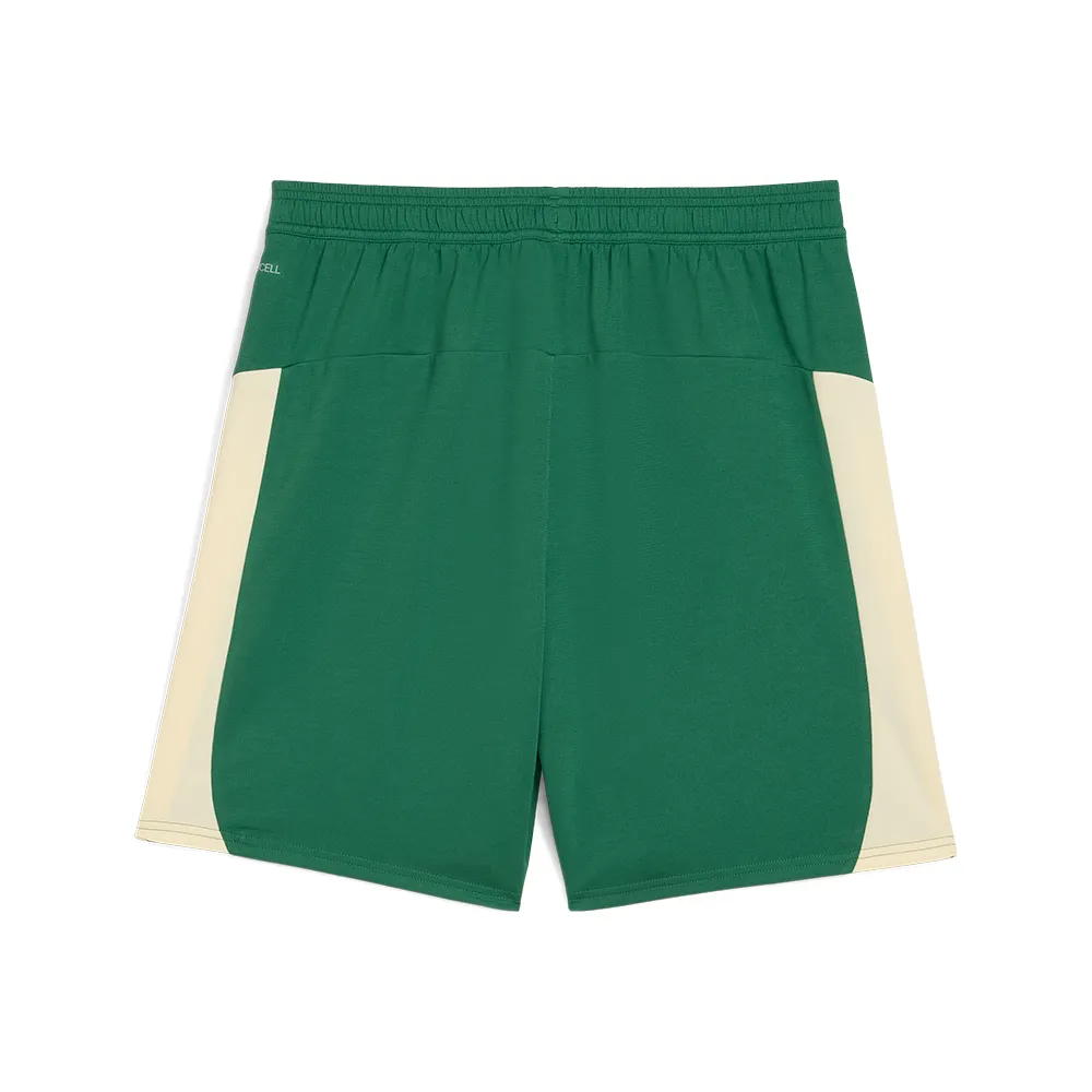 SE Palmeiras SHORTS REPLICA  [Vine/Alpine Snow]